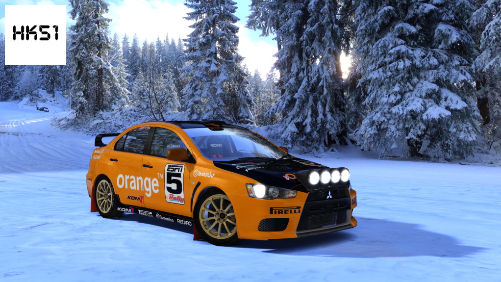 HK51 Rally Mitsubishi Lancer EVO X, skin 05
