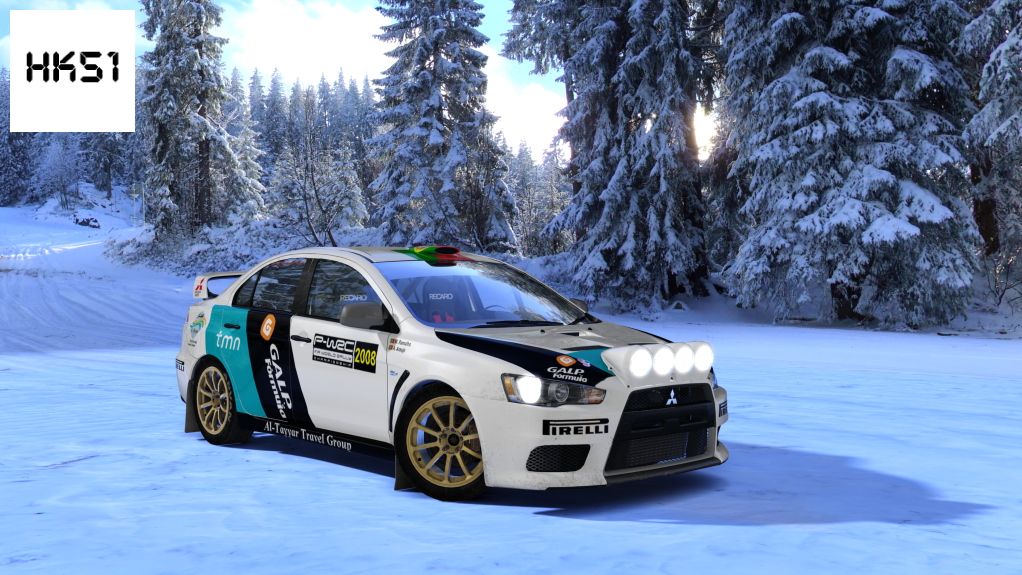 HK51 Rally Mitsubishi Lancer EVO X, skin 10