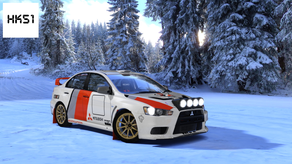 HK51 Rally Mitsubishi Lancer EVO X, skin 12