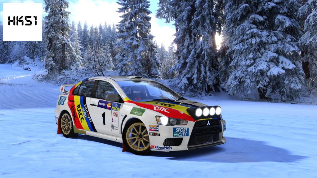 HK51 Rally Mitsubishi Lancer EVO X, skin 13