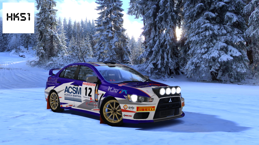 HK51 Rally Mitsubishi Lancer EVO X, skin 14
