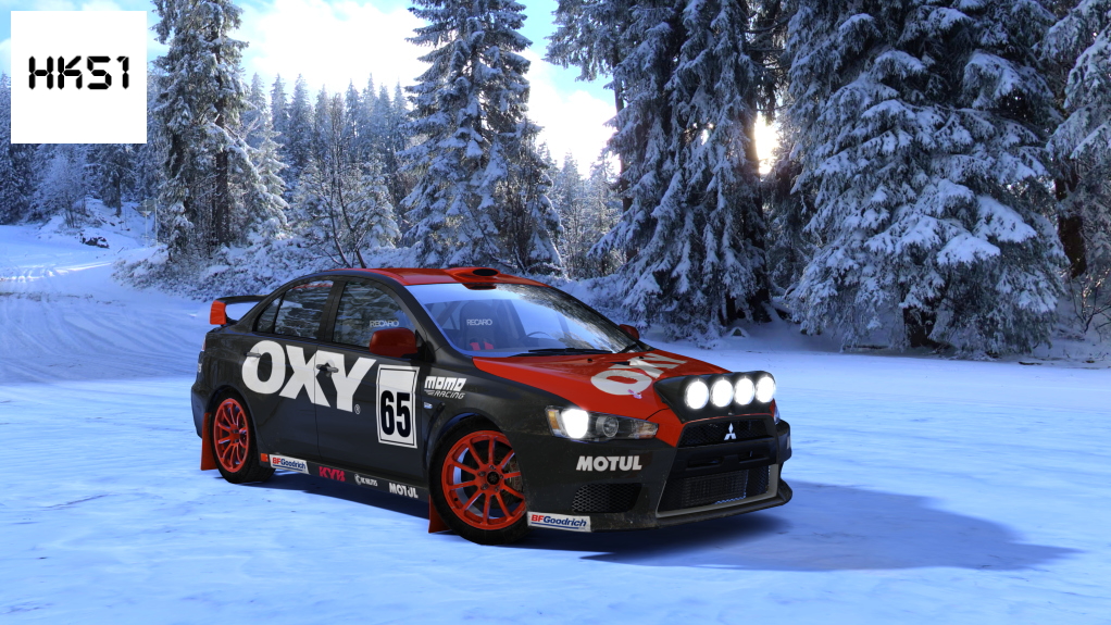 HK51 Rally Mitsubishi Lancer EVO X, skin 16