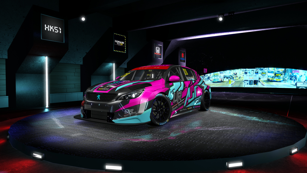 HK51 TCR Peugeot 308, skin 28_ACID