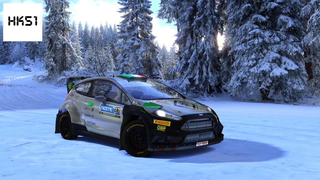 HK51 Rally Ford Fiesta WRC 2015 Gravel Preview Image