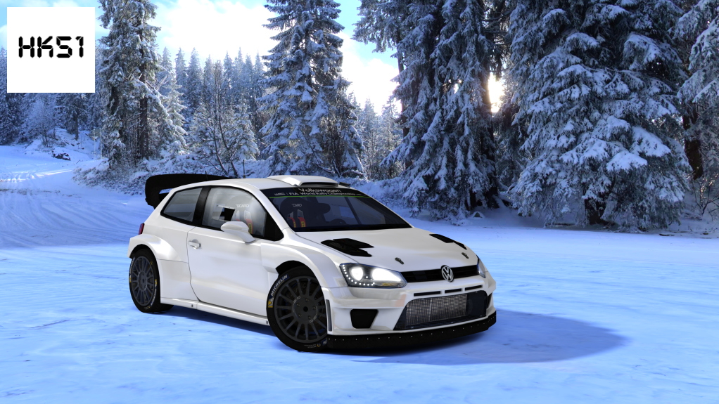 HK51 Rally Volkswagen Polo WRC 2015, skin VW_Motorsport_Test