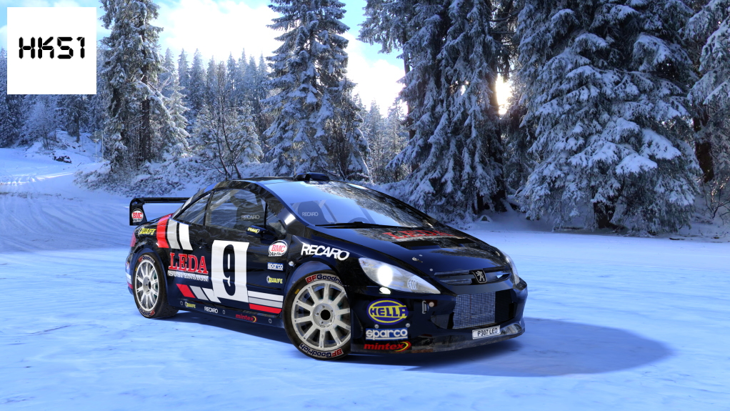 HK51 Rally Peugeot 307CC WRC, skin 01