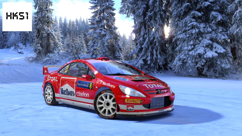 HK51 Rally Peugeot 307CC WRC, skin 04