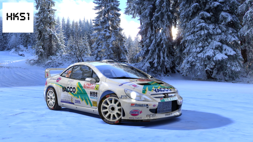 HK51 Rally Peugeot 307CC WRC, skin 05