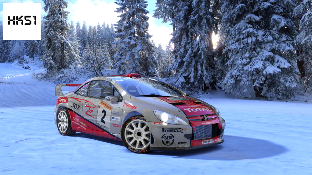 HK51 Rally Peugeot 307CC WRC, skin 06