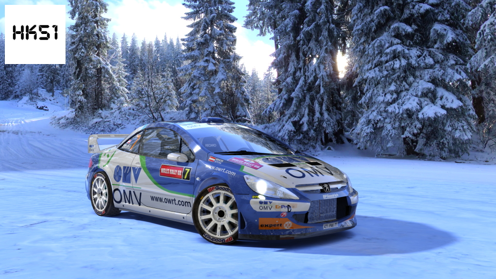 HK51 Rally Peugeot 307CC WRC, skin 07