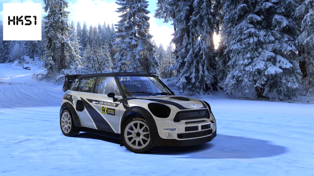 HK51 Rally Mini Countryman Rallycross, skin 39