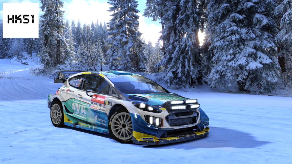 HK51 Rally Ford Fiesta WRC+ 2019 / Extralights, skin 01_Jan Dohnal
