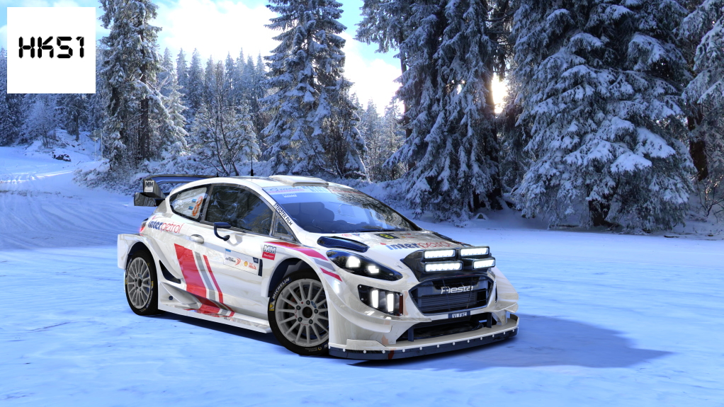 HK51 Rally Ford Fiesta WRC+ 2019 / Extralights, skin 08_Martin